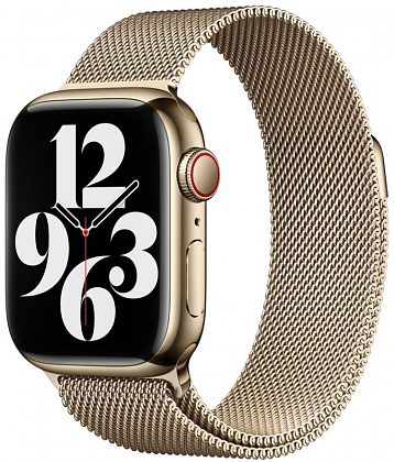 Браслет для Apple Watch 45 мм, миланский сетчатый, золотой